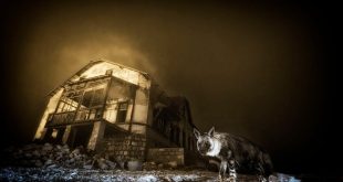 مسابقه عکاسی حیات وحش ۲۰۲۵