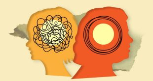 عملکرد مغز انسان