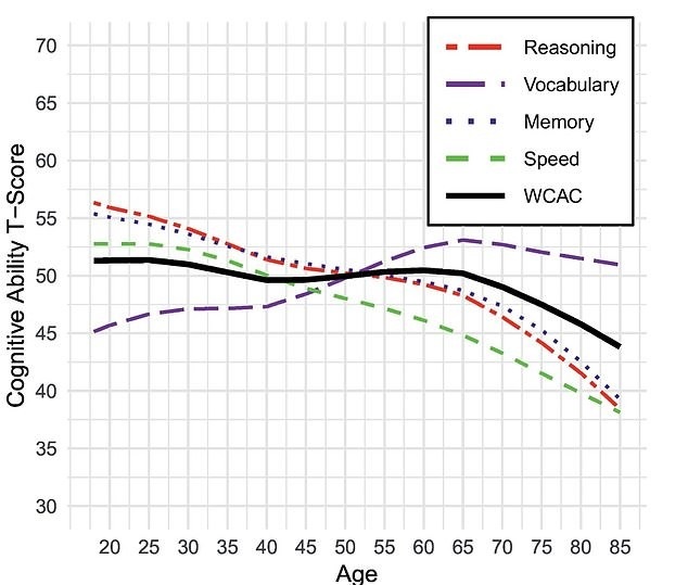 اوج کارکرد مغز انسان در چند سالگی است؟_دلچسب 14 عملکرد مغز