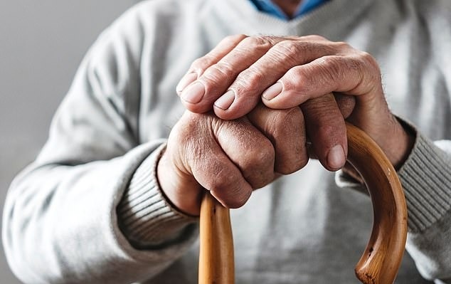 اوج کارکرد مغز انسان در چند سالگی است؟_دلچسب 16 عملکرد مغز