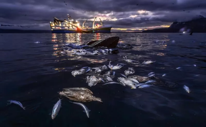 برنده بخش انسان و طبیعت