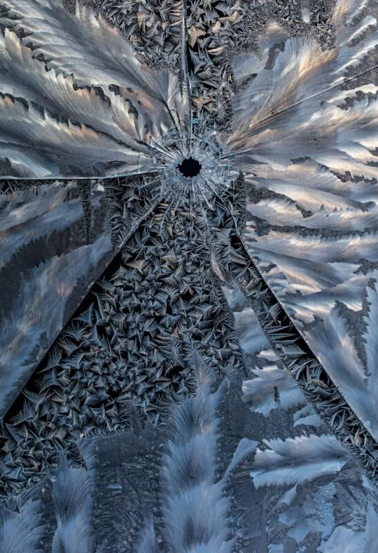 برنده بخش استودیوی طبیعت