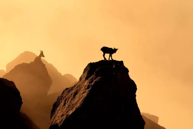 برنده بخش نوجوانان مسابقه عکاسی