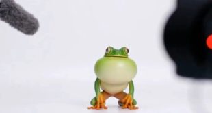 OpenAI ویژگی ساخت آواتار شخصی را به Sora اضافه کرد + ویدیو