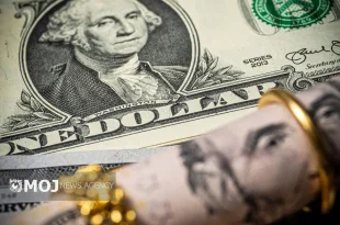 بانک مرکزی از امروز سازوکار تازه نرخ ارز مسافرتی را اجرایی کرد