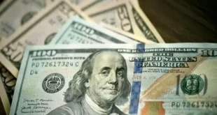 جدیدترین قیمت ارزها در بازار آزاد امروز ۲۰ مهر ۱۴۰۴