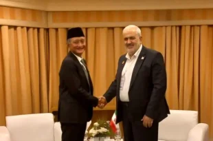 دیدار و گفت وگوی وزیر نیرو با وزیر کار و مسکن اندونزی