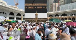 سازمان حج و زیارت زمان‌بندی جدید پیش‌ثبت‌نام حج تمتع ۱۴۰۵ را اعلام کرد
