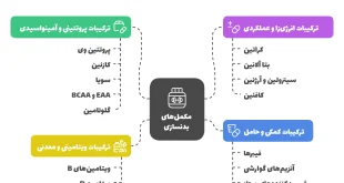 طبقه بندی مواد اولیه در مکمل های بدنسازی