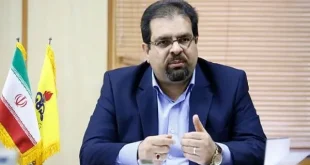 وابستگی بالای کشور، صنعت گاز را شکننده کرده است