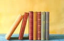 کتاب یک ایرانی در فرانسه انتشار شد_دلچسب 10 کتاب یک ایرانی در فرانسه منتشر شد