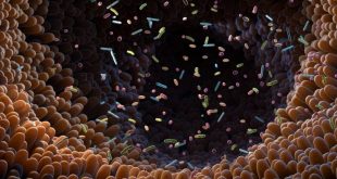 باکتری‌های روده کودکان می‌توانند بر سلامت روان آنها در آینده تأثیر بگذارند