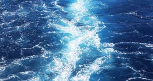 انتقال دی‌اکسیدکربن به اقیانوس‌ها می‌تواند عواقب خطرناکی داشته باشد