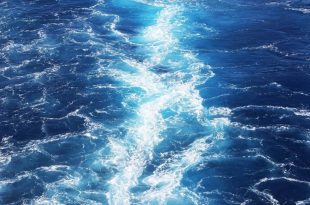 انتقال دی‌اکسیدکربن به اقیانوس‌ها می‌تواند عواقب خطرناکی داشته باشد