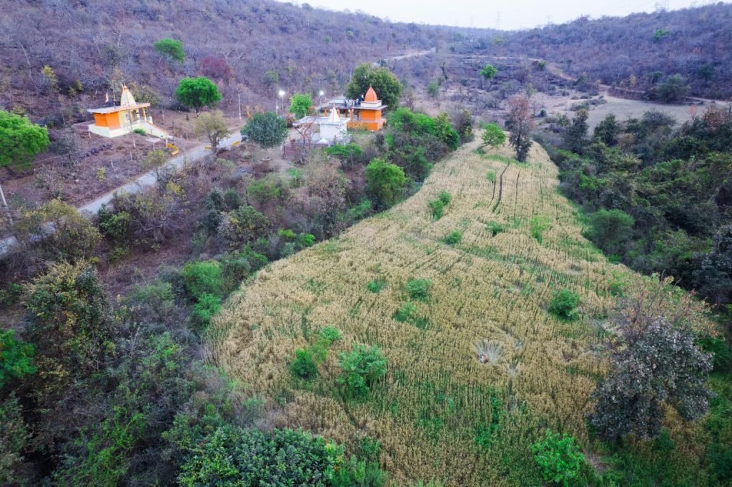 برندگان جایزه عکاسی Nature inFocus سال ۲۰۲۵ اشکار شدند_دلچسب 96 1763751695 31 برندگان جایزه عکاسی Nature inFocus سال ۲۰۲۵ اشکار شدند دلچسب