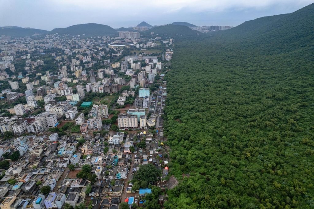 برندگان جایزه عکاسی Nature inFocus سال ۲۰۲۵ اشکار شدند_دلچسب 120 1763751698 495 برندگان جایزه عکاسی Nature inFocus سال ۲۰۲۵ اشکار شدند دلچسب