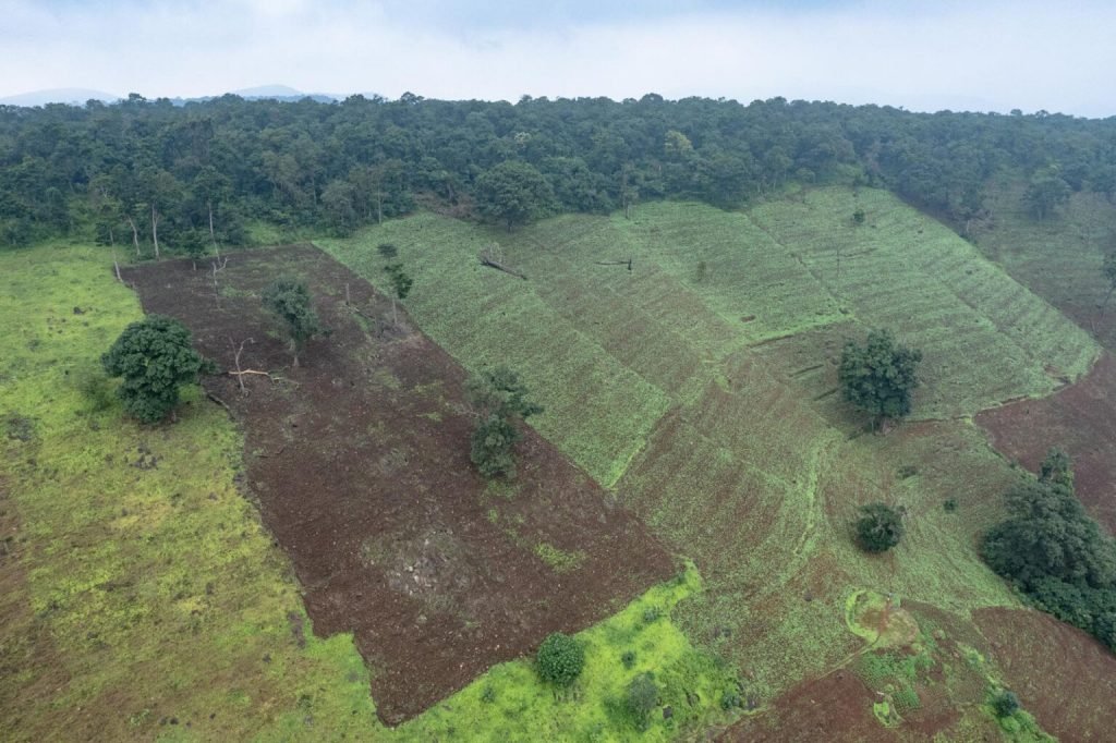 برندگان جایزه عکاسی Nature inFocus سال ۲۰۲۵ اشکار شدند_دلچسب 128 1763751698 56 برندگان جایزه عکاسی Nature inFocus سال ۲۰۲۵ اشکار شدند دلچسب