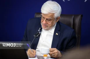 شیراز، میزبان روایت حقیقت و زیبایی از چهار گوشه جهان