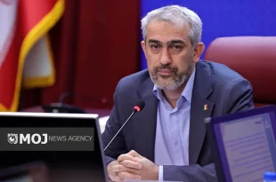 مداخلات دولتی بخش خصوصی را ناکارآمد کرده است