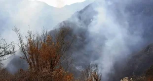 گزارش میدانی رئیس سازمان منابع طبیعی از حریق جنگل «الیت» به وزیر جهاد کشاورزی