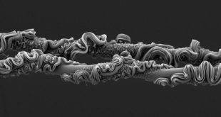 مسابقه عکاسی علمی انجمن سلطنتی ۲۰۲۵