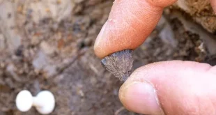 انسان‌ها 350 هزار سال زودتر از تصور قبلی ما آتش را مهار کردند