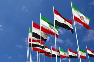 بخش خصوصی ایران آماده همکاری اقتصادی با مصر است