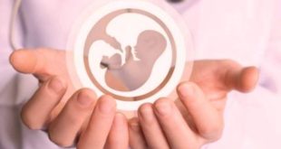 ایران در جمع ۱۰ کشور برتر دنیا در درمان ناباروری