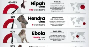 مرگبارترین ویروس‌ها در جهان