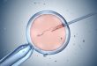 عبور از خط قرمز ژنتیک؛ محققان آمریکایی DNA رویان انسان را ویرایش کردند