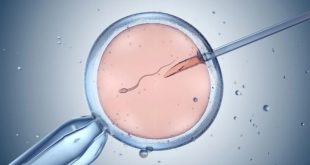 عبور از خط قرمز ژنتیک؛ محققان آمریکایی DNA رویان انسان را ویرایش کردند