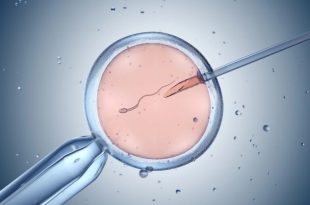 عبور از خط قرمز ژنتیک؛ محققان آمریکایی DNA رویان انسان را ویرایش کردند