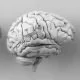 brain implant