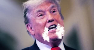 duckduckgo ai trump rabies