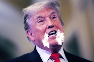duckduckgo ai trump rabies
