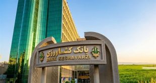 مجموع پرداخت مطالبات گندمکاران از مرز ۵۰ هزار میلیارد تومان عبور کرد