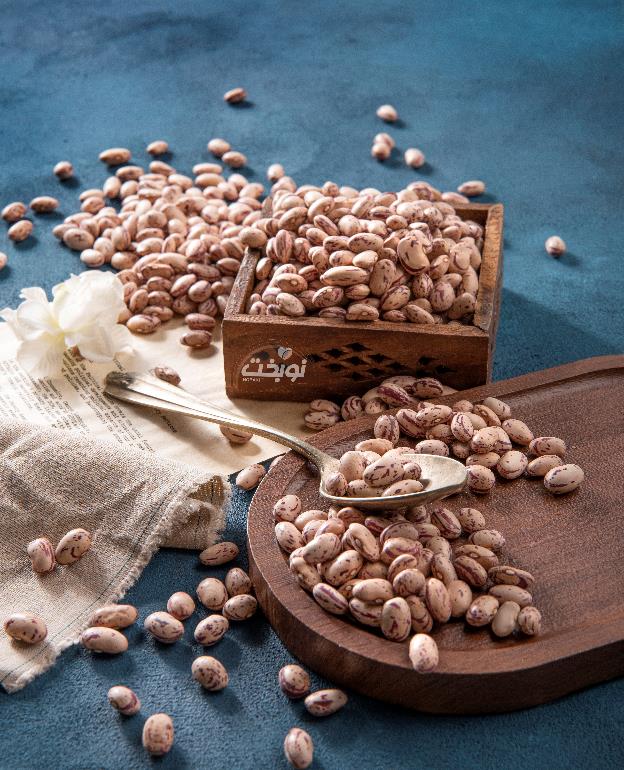 لوبیا چیتی ازبکستان؛ ماده اولیه‌ای ایده‌آل برای توسعه محصولات جدید کنسروی